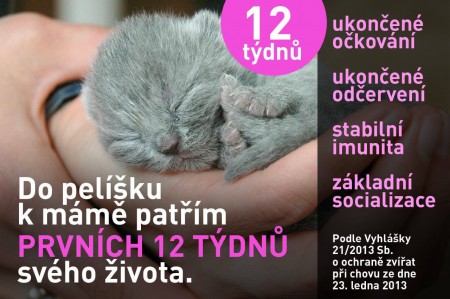 Nechaj ma u mamy